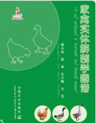 Дотоод хавтасны зургууд