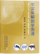 Дотоод хавтасны зургууд