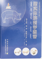 Дотоод хавтасны зургууд