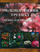 Дотоод хавтасны зургууд