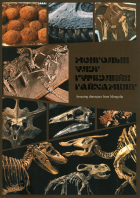 Дотоод хавтасны зургууд