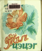 Дотоод хавтасны зургууд