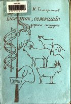Дотоод хавтасны зургууд