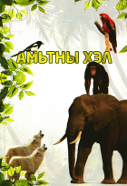 Дотоод хавтасны зургууд