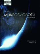 Дотоод хавтасны зургууд