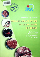 Дотоод хавтасны зургууд