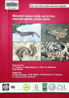 Дотоод хавтасны зургууд
