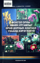 Дотоод хавтасны зургууд