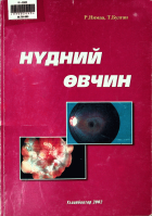 Дотоод хавтасны зургууд