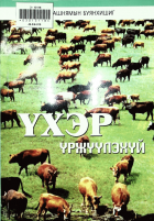 Дотоод хавтасны зургууд
