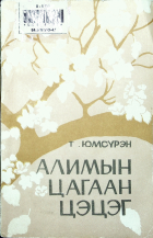 Дотоод хавтасны зургууд