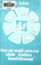 Дотоод хавтасны зургууд