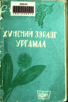 Дотоод хавтасны зургууд