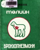 Дотоод хавтасны зургууд