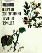 Дотоод хавтасны зургууд