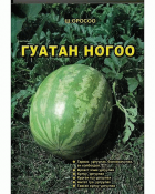 Дотоод хавтасны зургууд