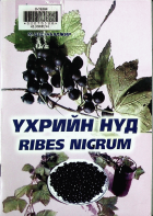 Дотоод хавтасны зургууд