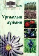 Дотоод хавтасны зургууд