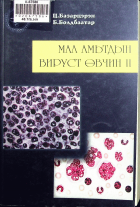 Дотоод хавтасны зургууд