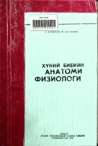 Дотоод хавтасны зургууд