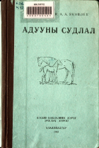 Дотоод хавтасны зургууд