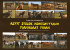 Дотоод хавтасны зургууд